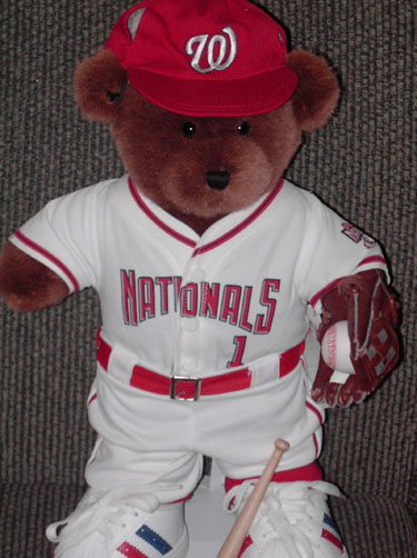 Nats Bear